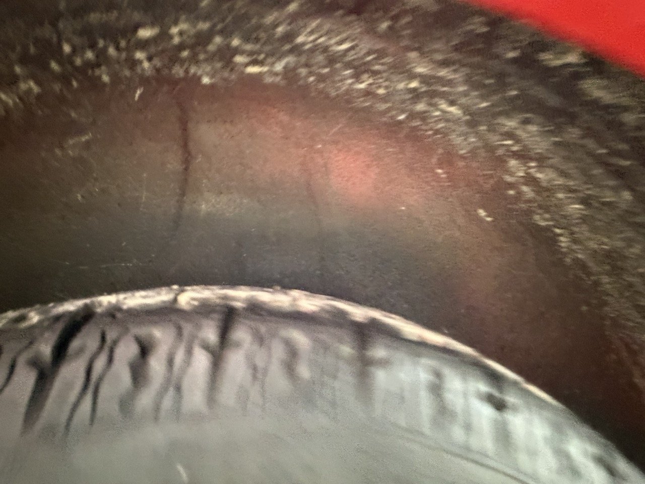 IMG_8300 – grande.jpeg