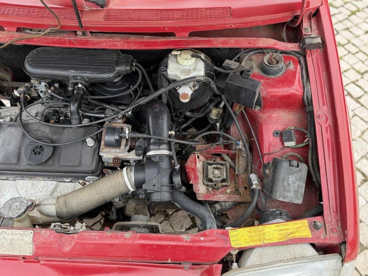 IMG_0434 – grande.jpeg