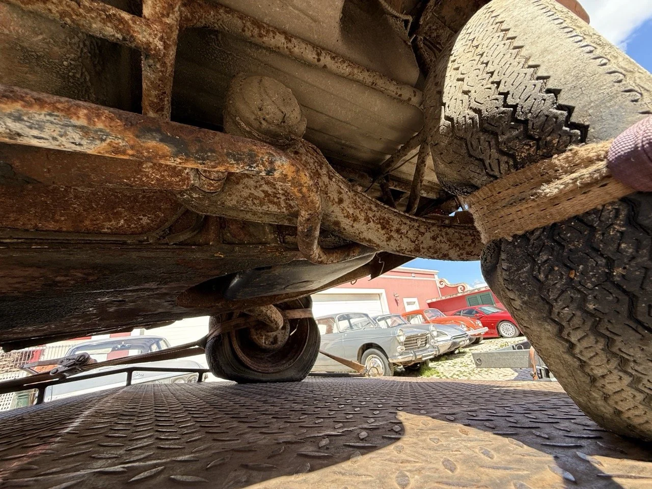 IMG_9058 – grande.jpeg