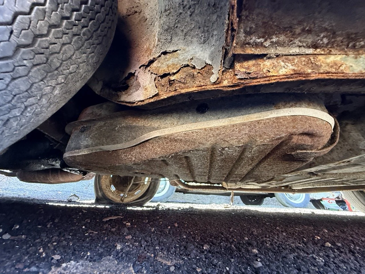 IMG_0892 – grande.jpeg