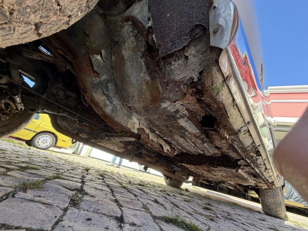 IMG_7083 – grande.jpeg