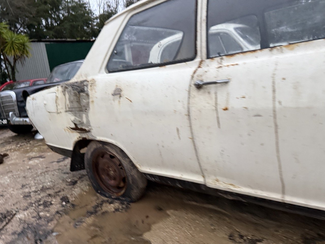 IMG_0129 – grande.jpeg