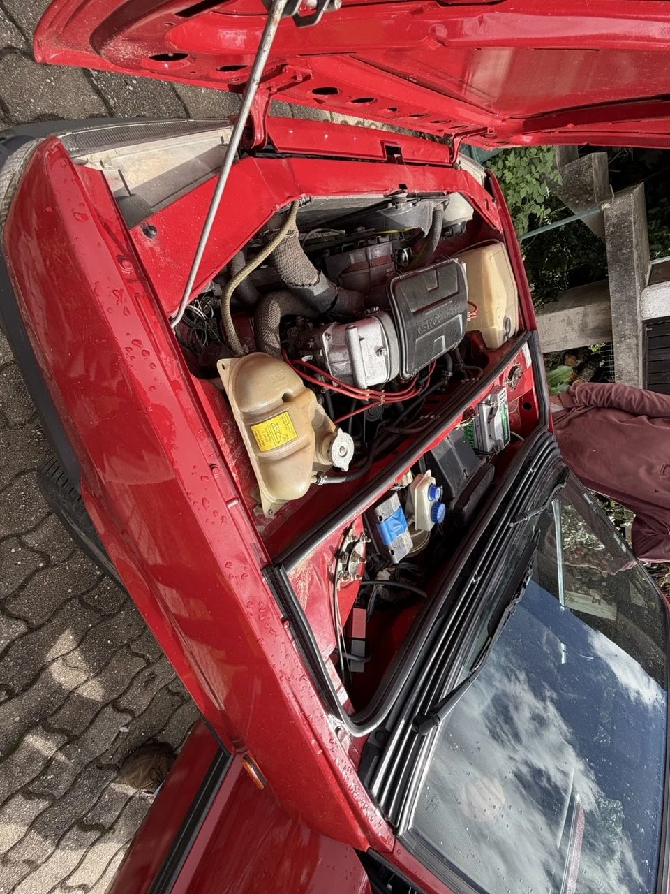 IMG_3250 – grande.jpeg