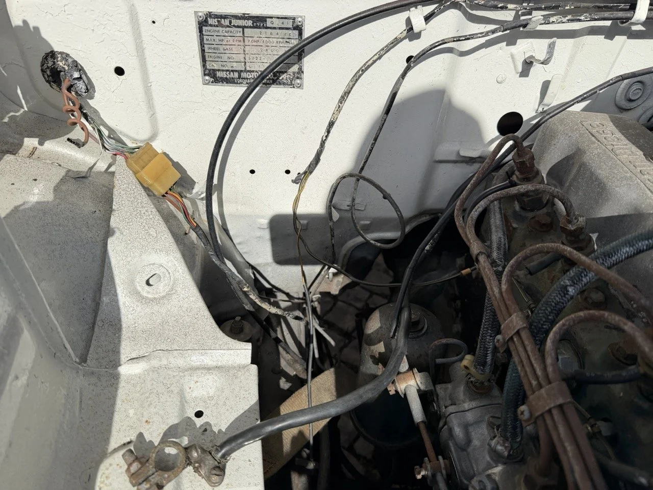 IMG_8623 2 – grande.jpeg