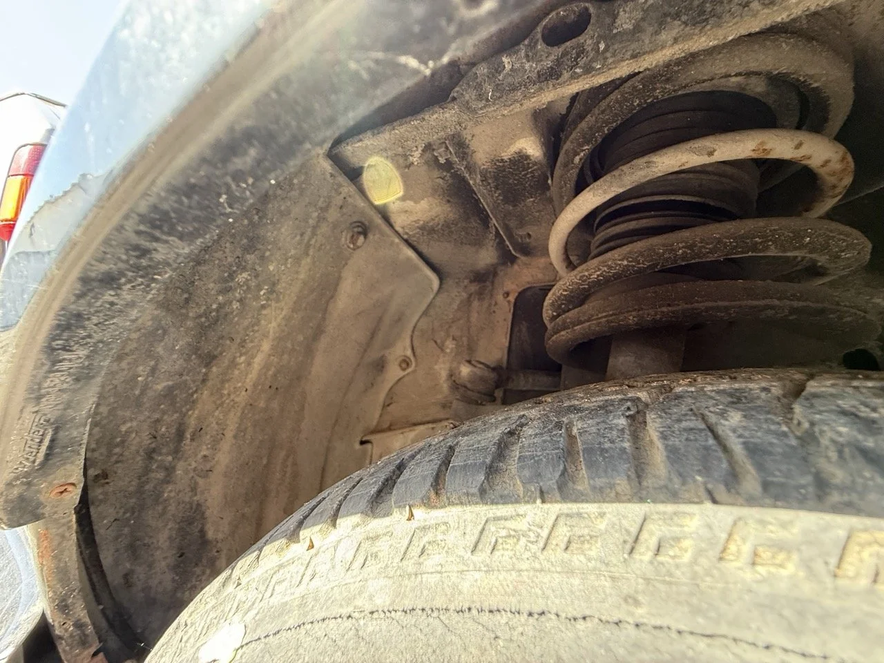 IMG_2943 – grande.jpeg