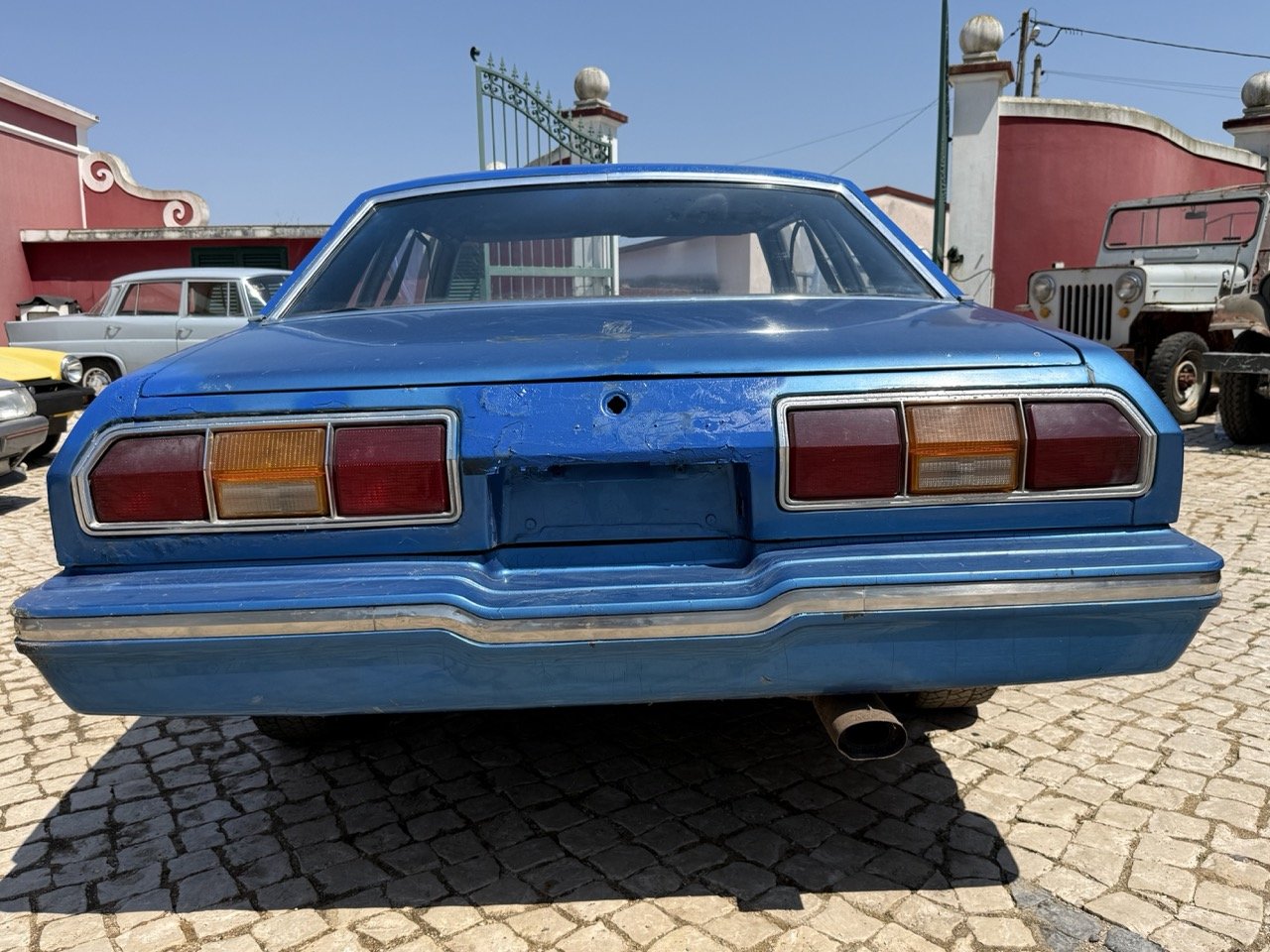 IMG_1001 – grande.jpeg
