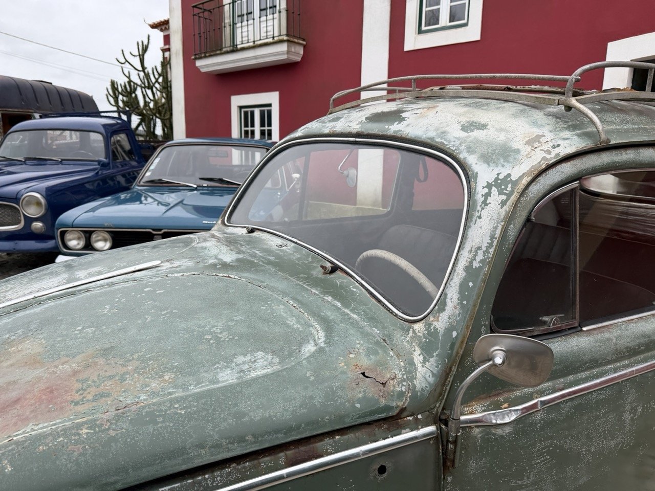 IMG_1204 – grande.jpeg