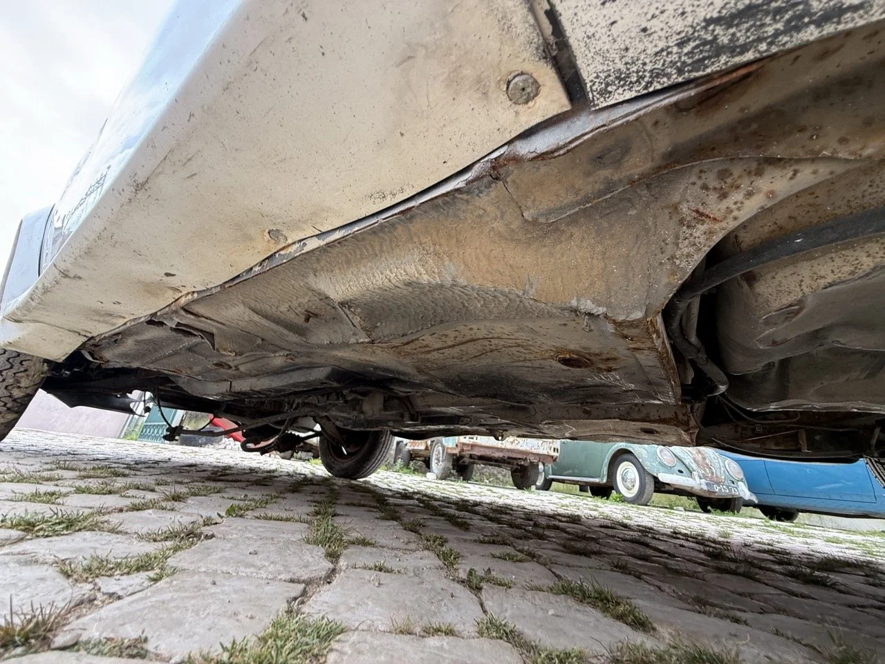 IMG_8634 – grande.jpeg