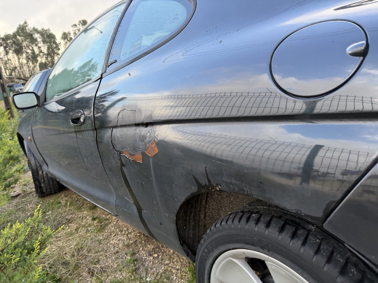 IMG_5335 – grande.jpeg