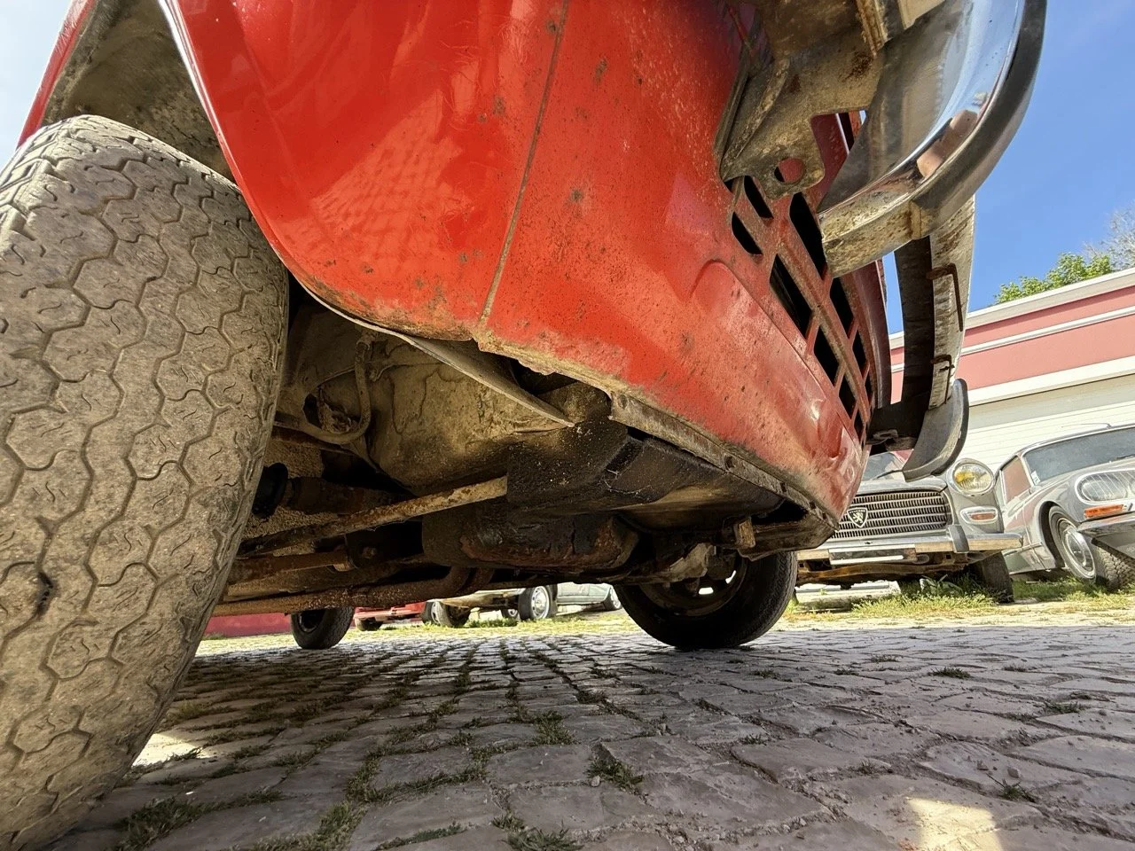 IMG_2371 – grande.jpeg