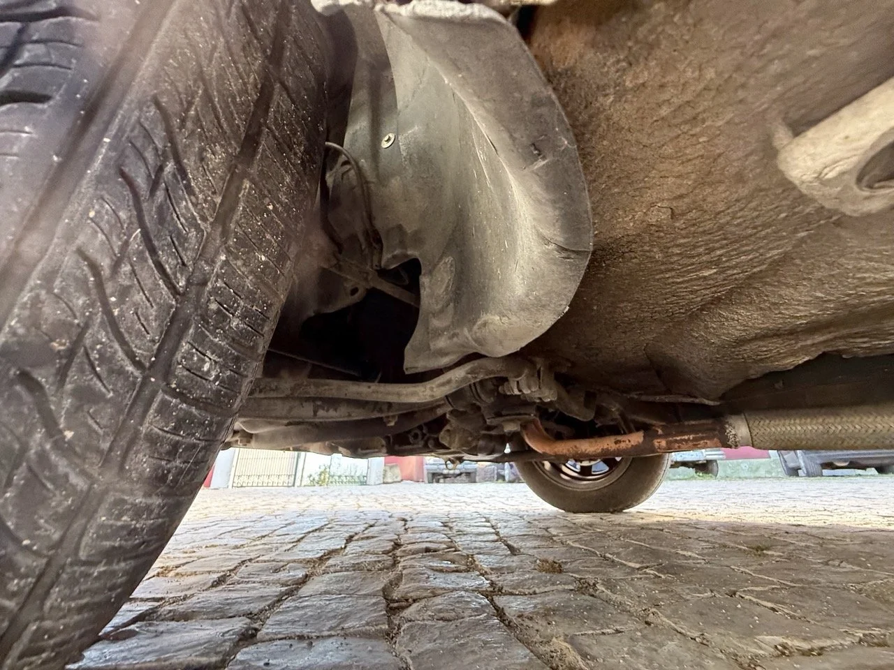 IMG_9422 – grande.jpeg