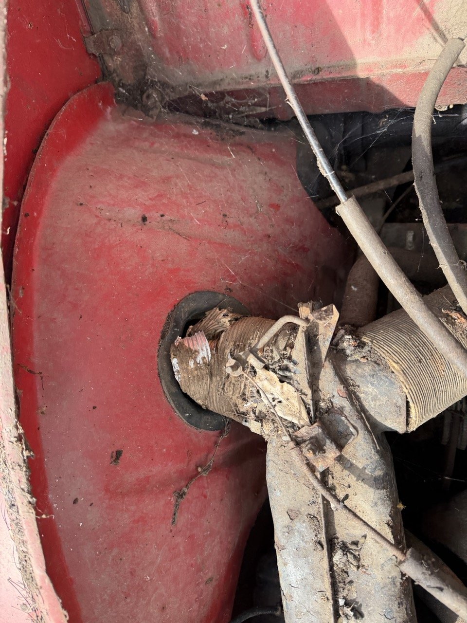 IMG_3866 – grande.jpeg