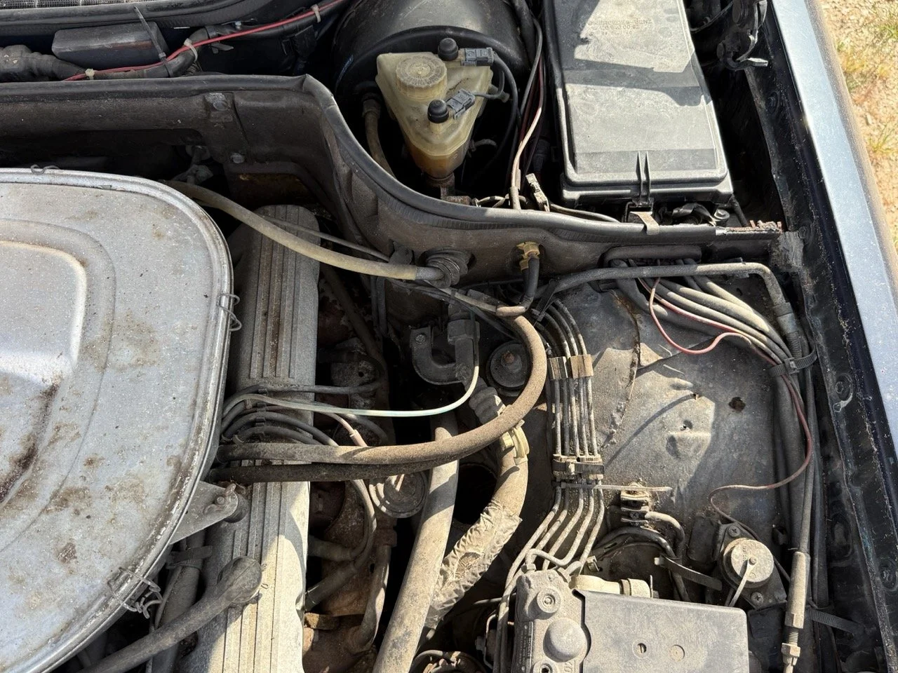 IMG_3417 – grande.jpeg