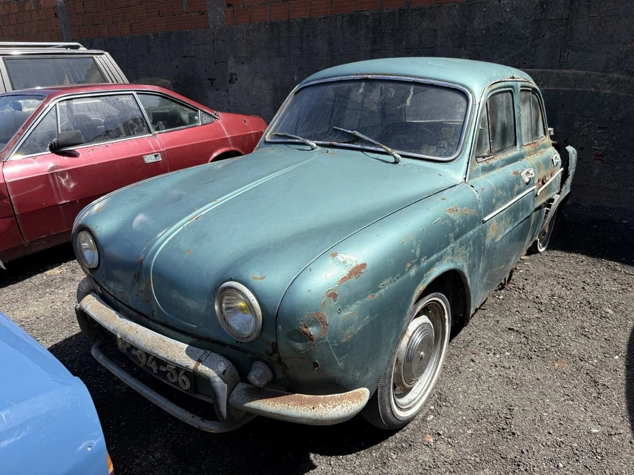 IMG_0820 – grande.jpeg