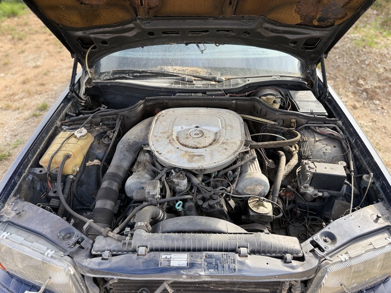 IMG_3383 – grande.jpeg