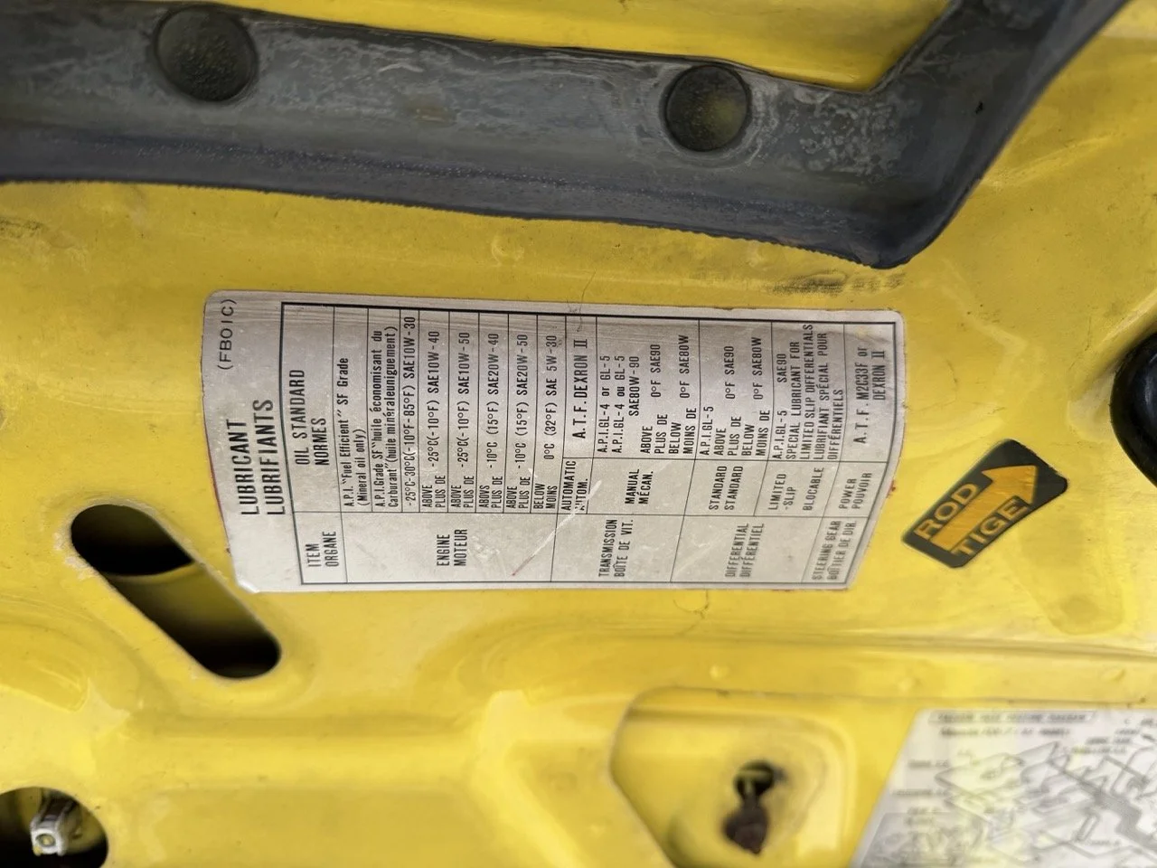 IMG_9753 – grande.jpeg