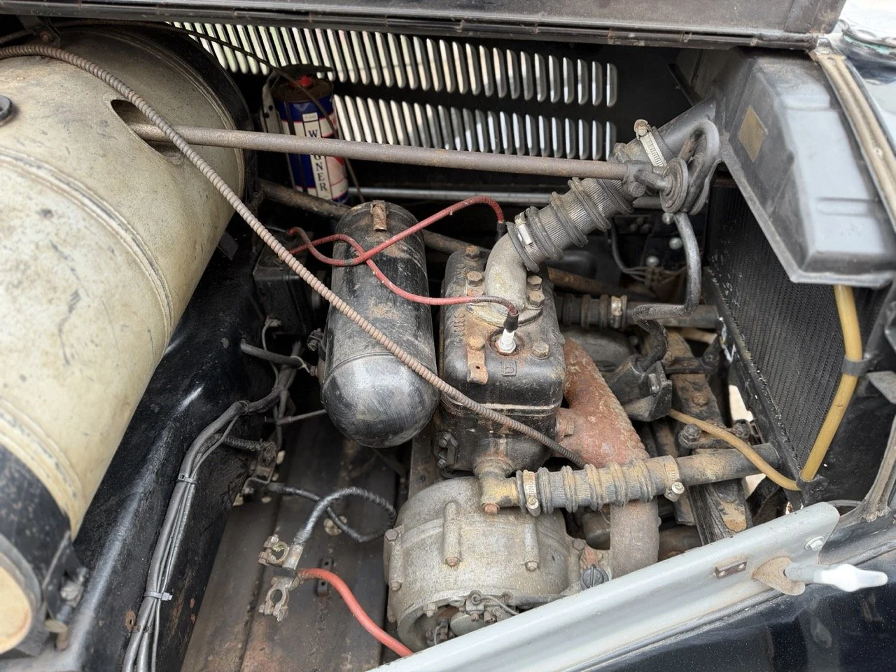 IMG_1440 – grande.jpeg