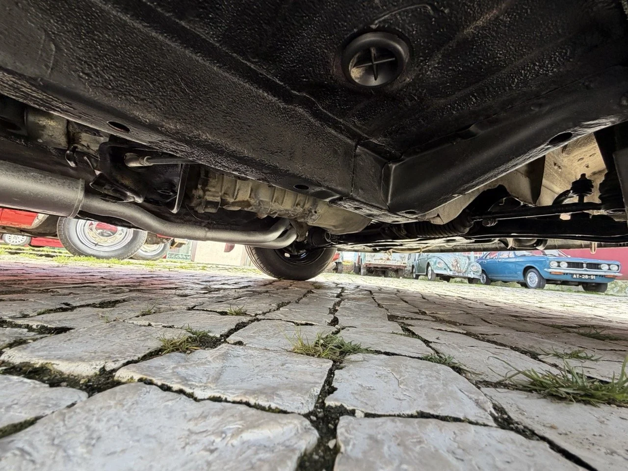 IMG_2450 – grande.jpeg