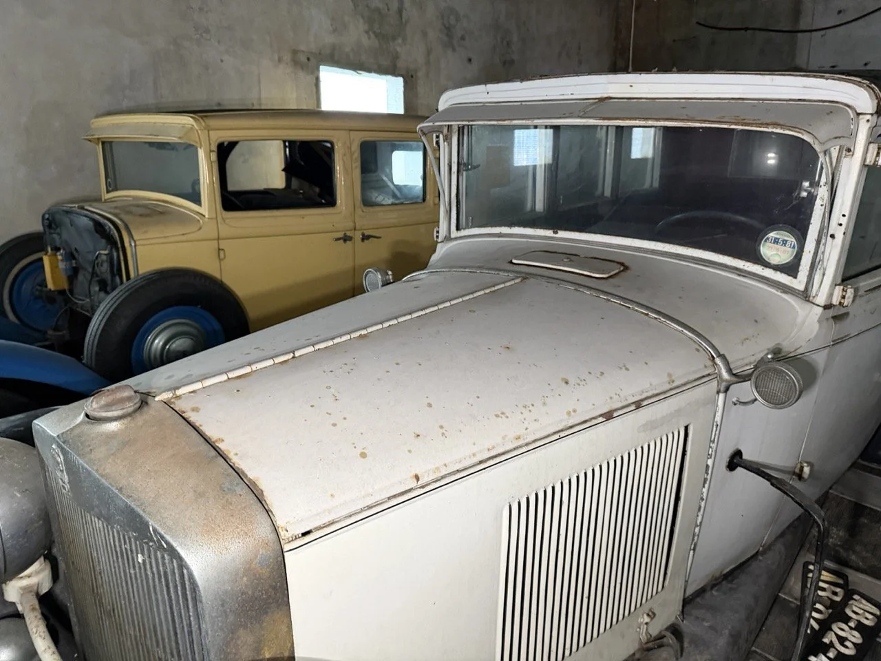 IMG_2486 – grande.jpeg