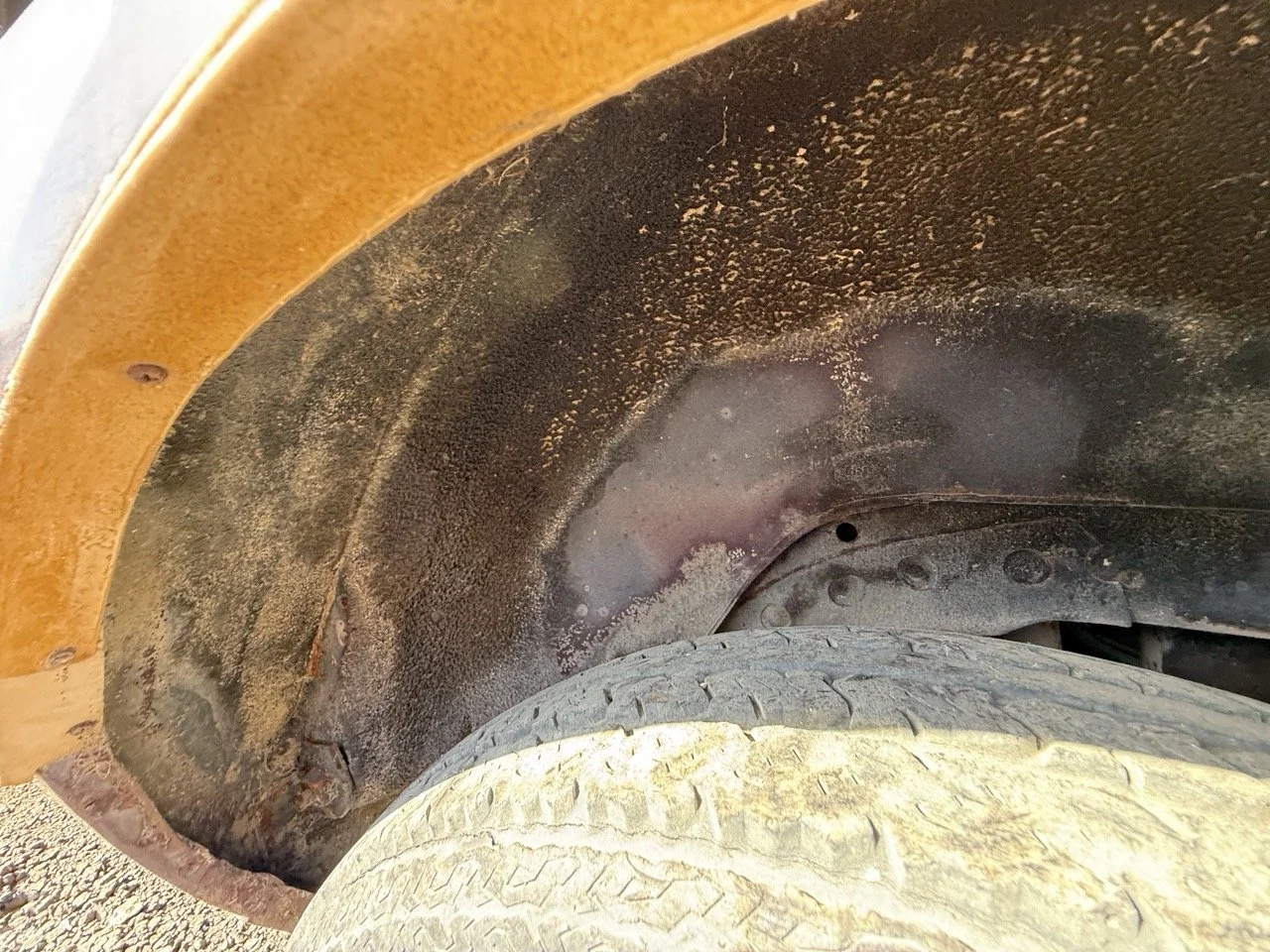 IMG_3066 – grande.jpeg