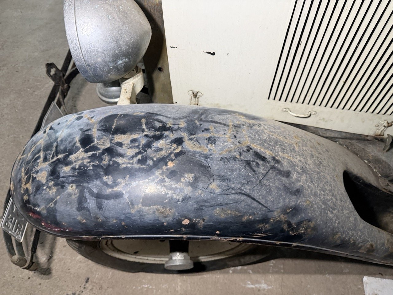 IMG_2489 – grande.jpeg