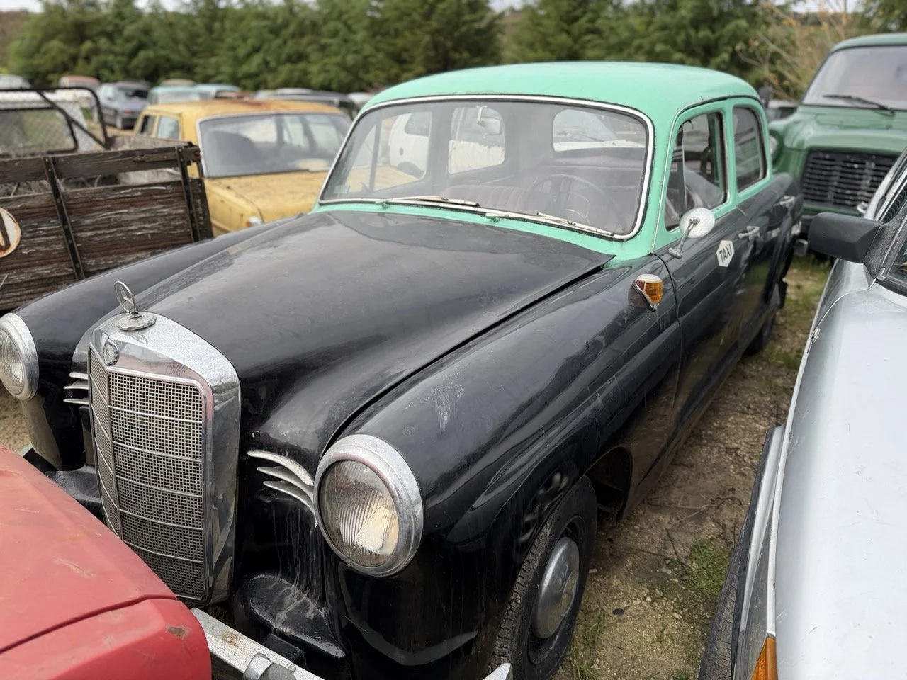 IMG_4979 – grande.jpeg