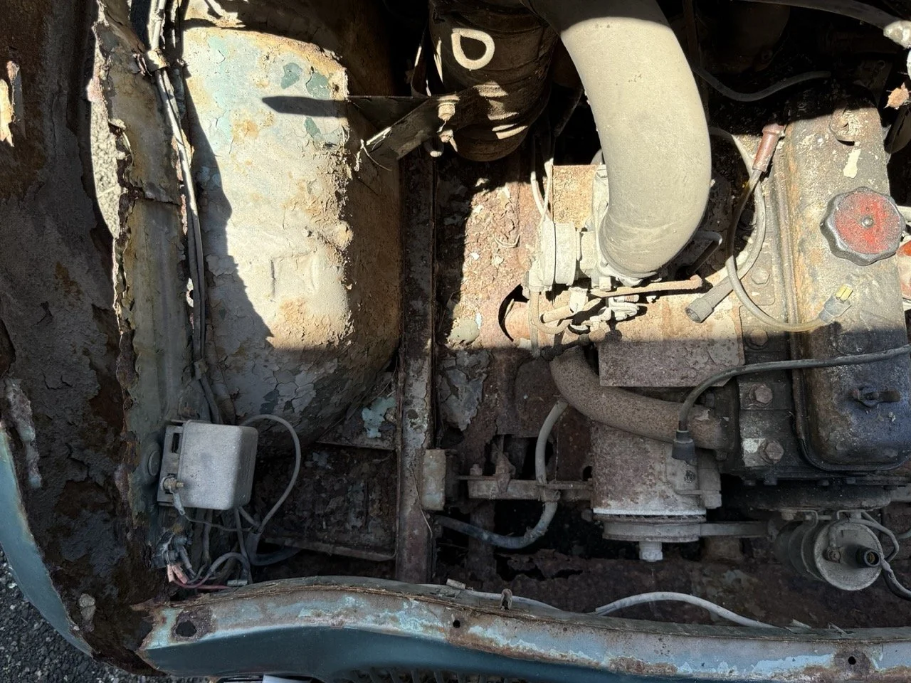 IMG_0875 – grande.jpeg