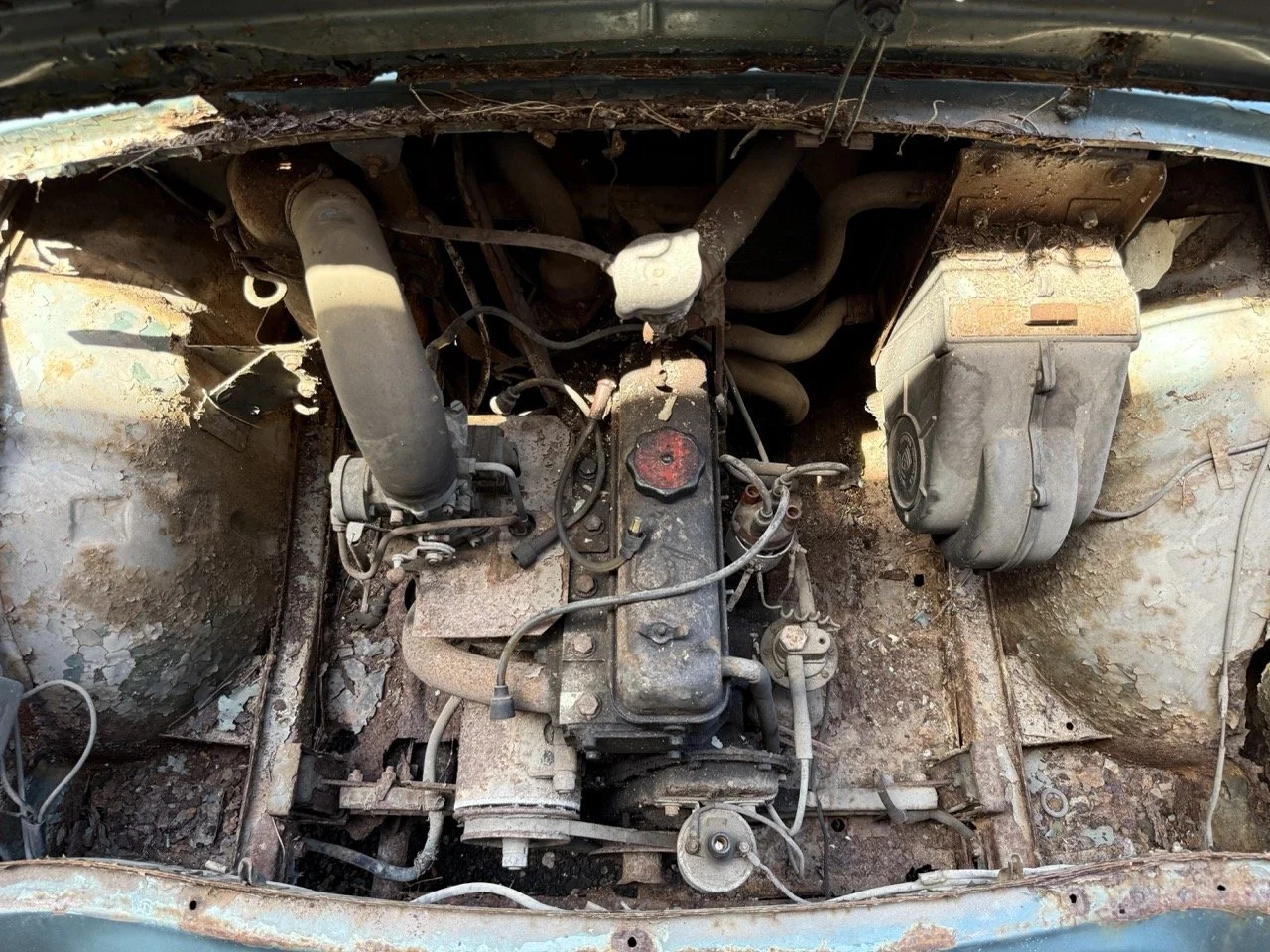 IMG_0835 – grande.jpeg