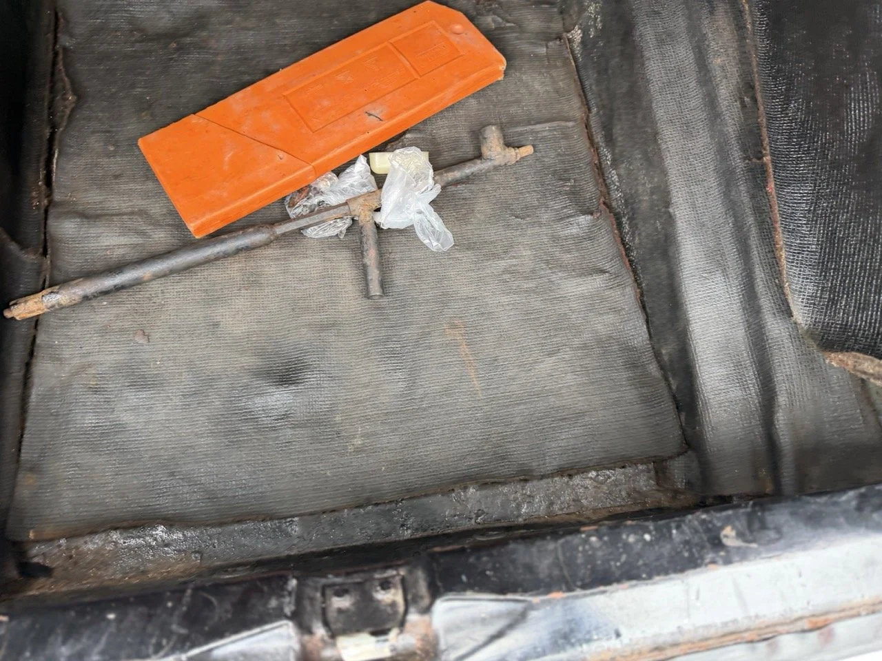 IMG_3710 – grande.jpeg