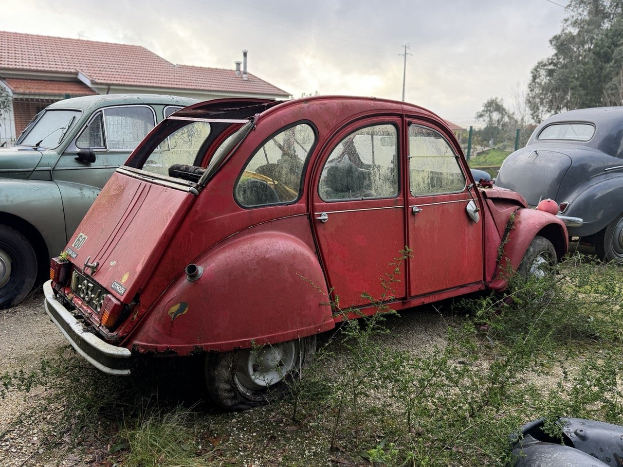 IMG_5468 – grande.jpeg