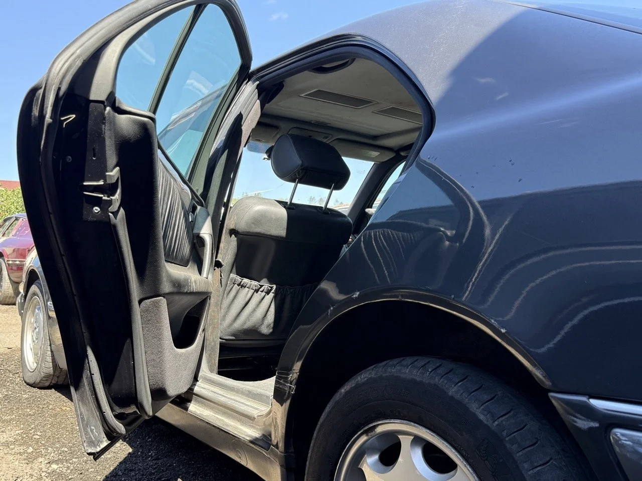 IMG_1748 – grande.jpeg