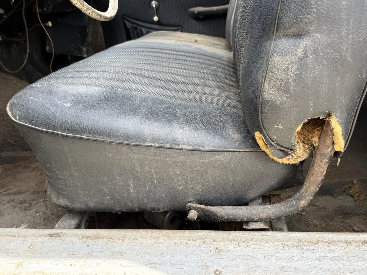 IMG_1388 – grande.jpeg