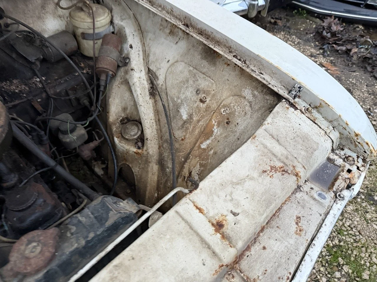 IMG_0161 – grande.jpeg