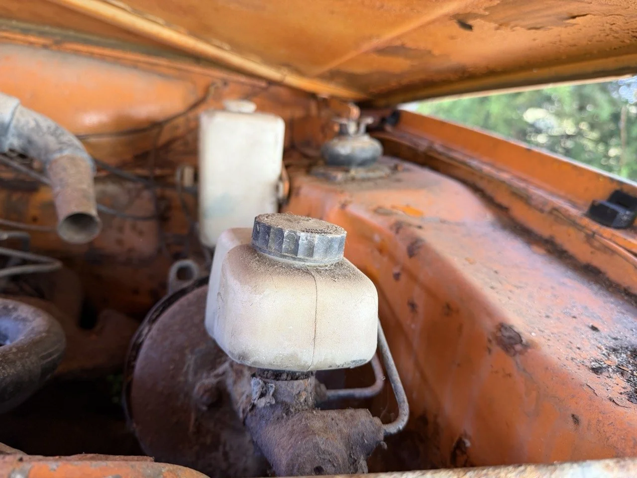 IMG_7724 – grande.jpeg