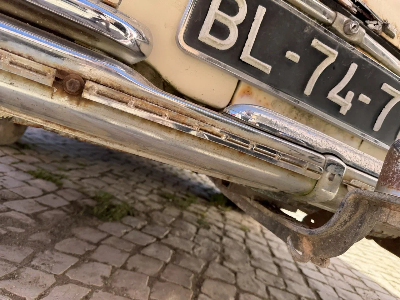 IMG_7048 – grande.jpeg