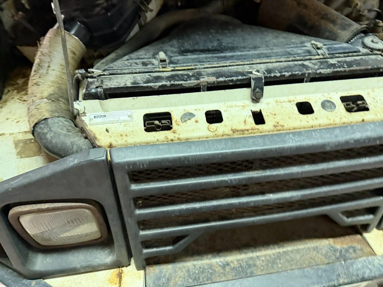 IMG_5204 – grande.jpeg