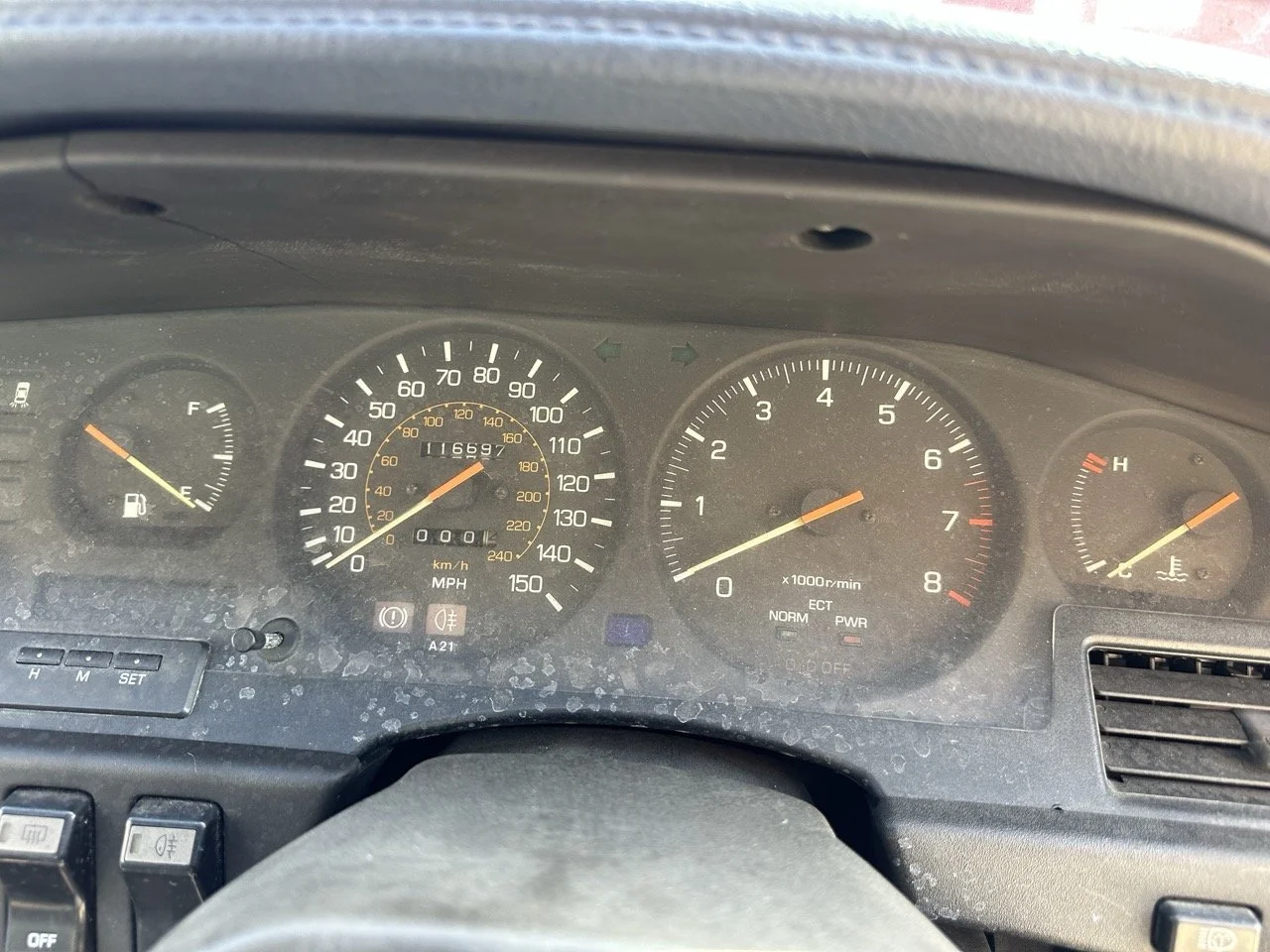 IMG_7181 – grande.jpeg