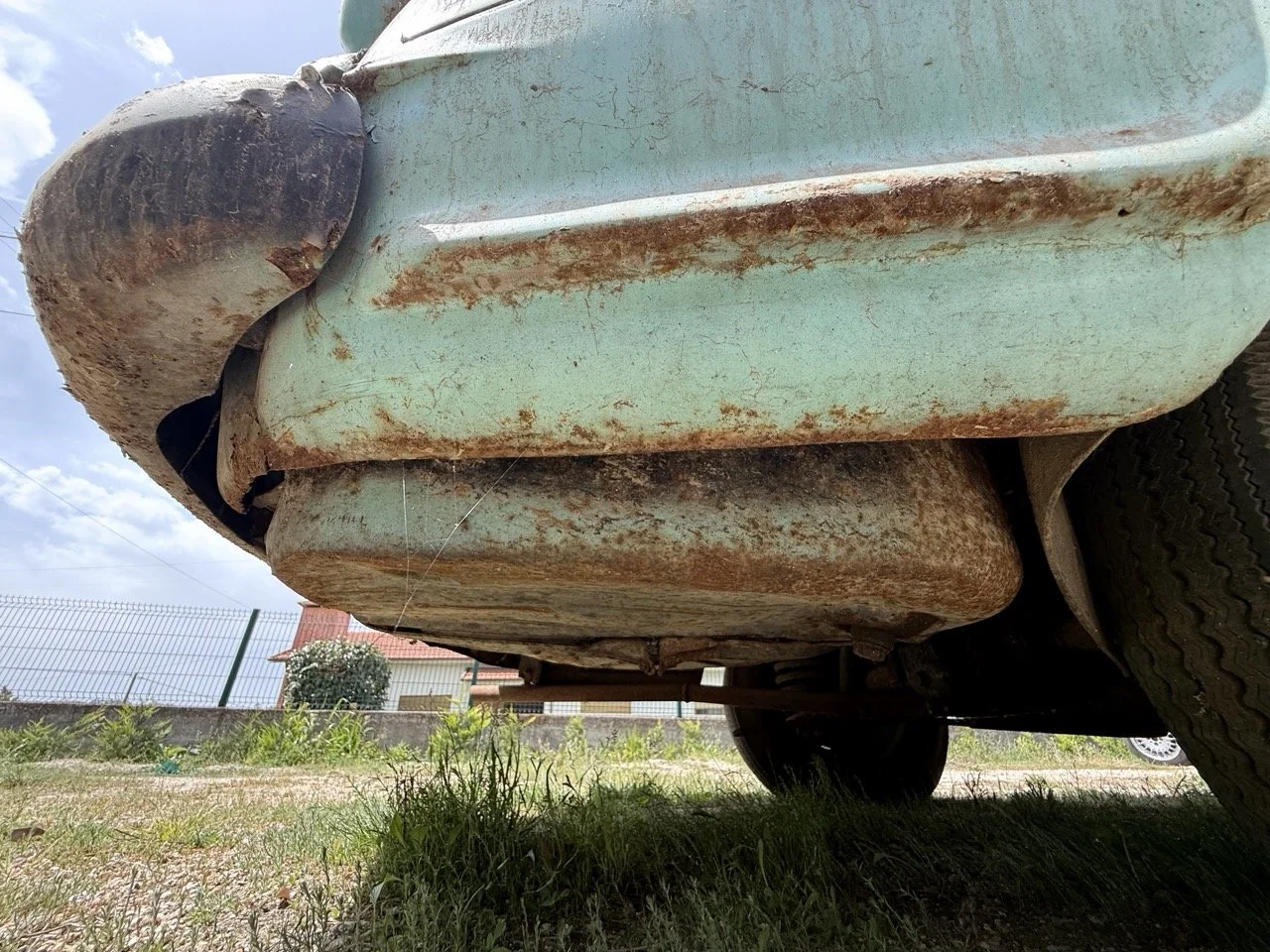 IMG_1424 – grande.jpeg