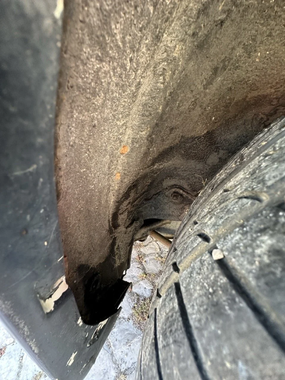 IMG_7245 – grande.jpeg