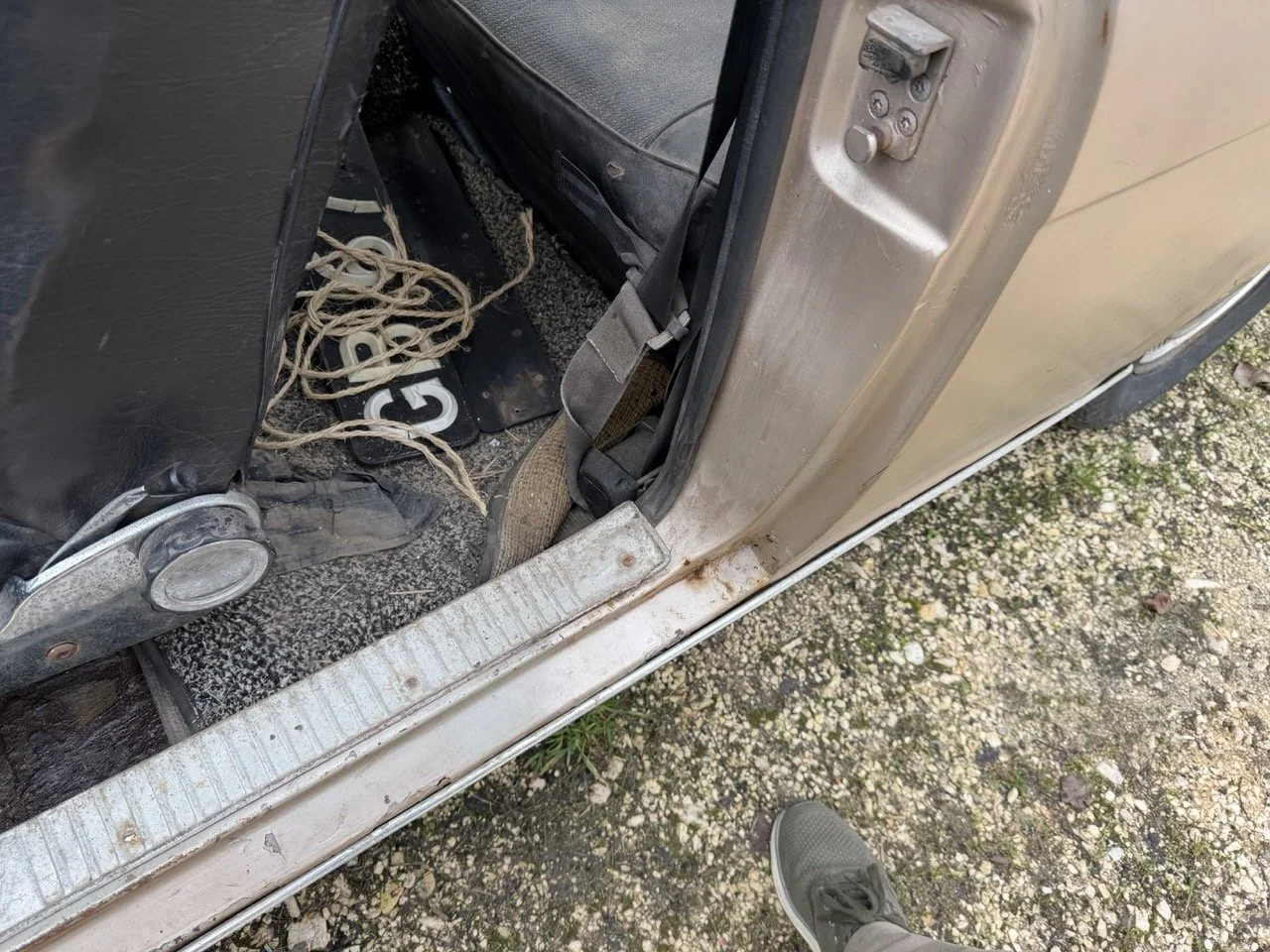 IMG_4917 – grande.jpeg