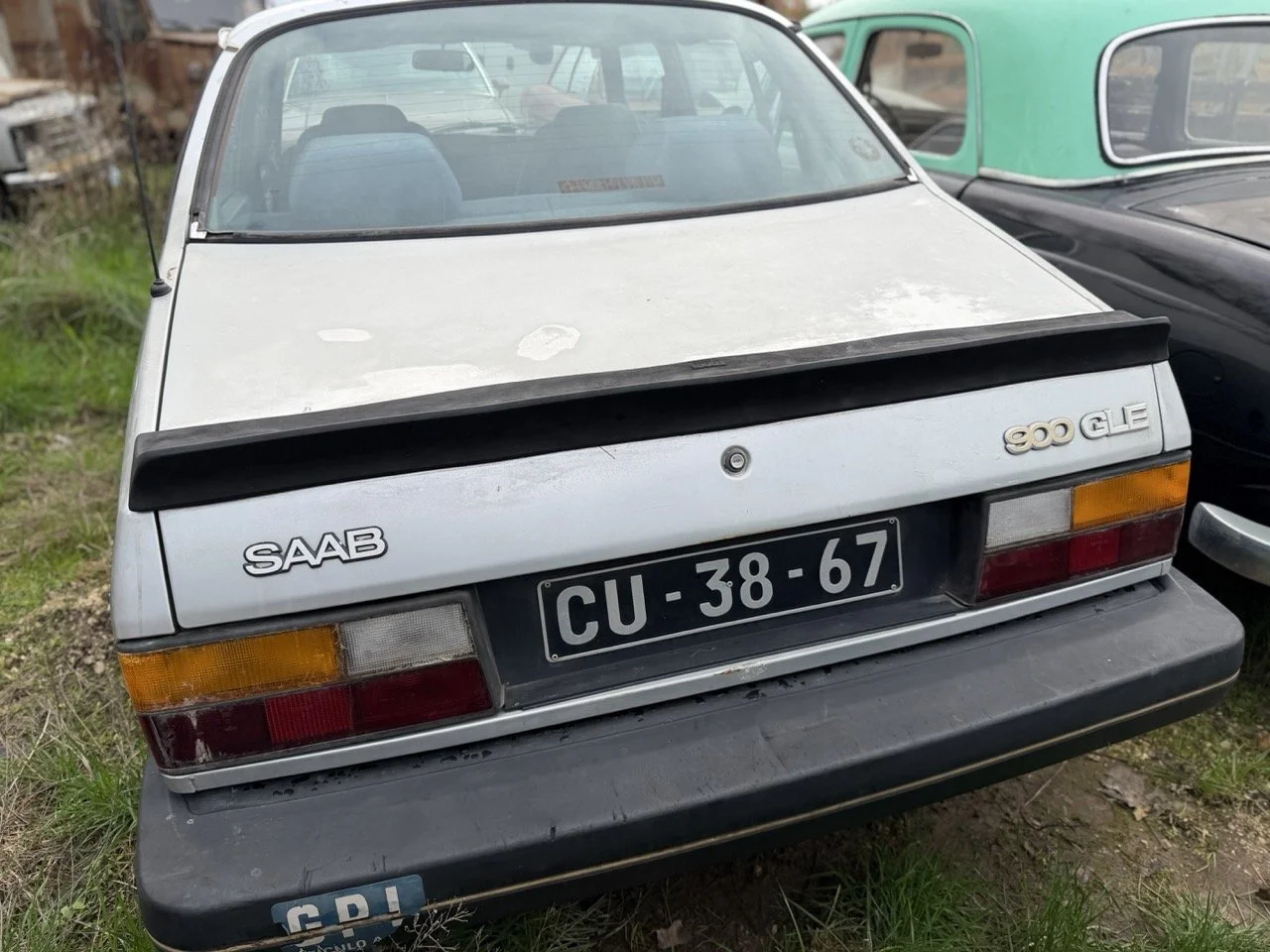 IMG_4998 – grande.jpeg