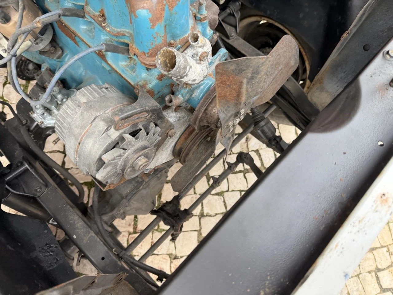 IMG_3942 – grande.jpeg