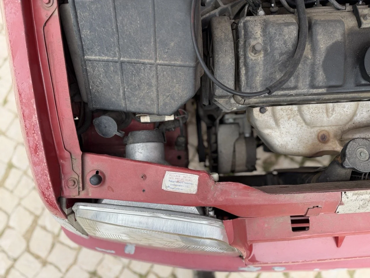 IMG_3599 – grande.jpeg