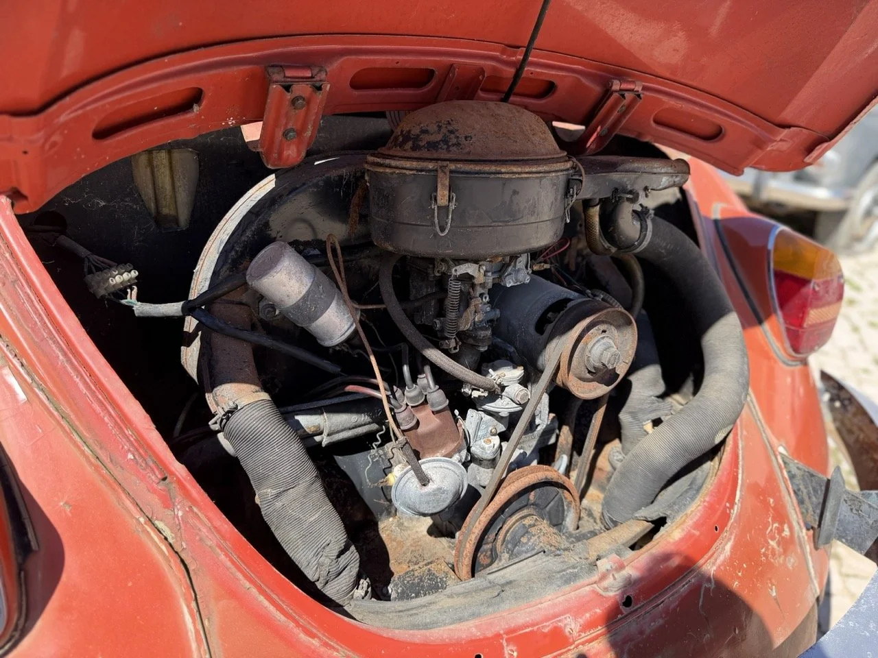 IMG_7552 – grande.jpeg