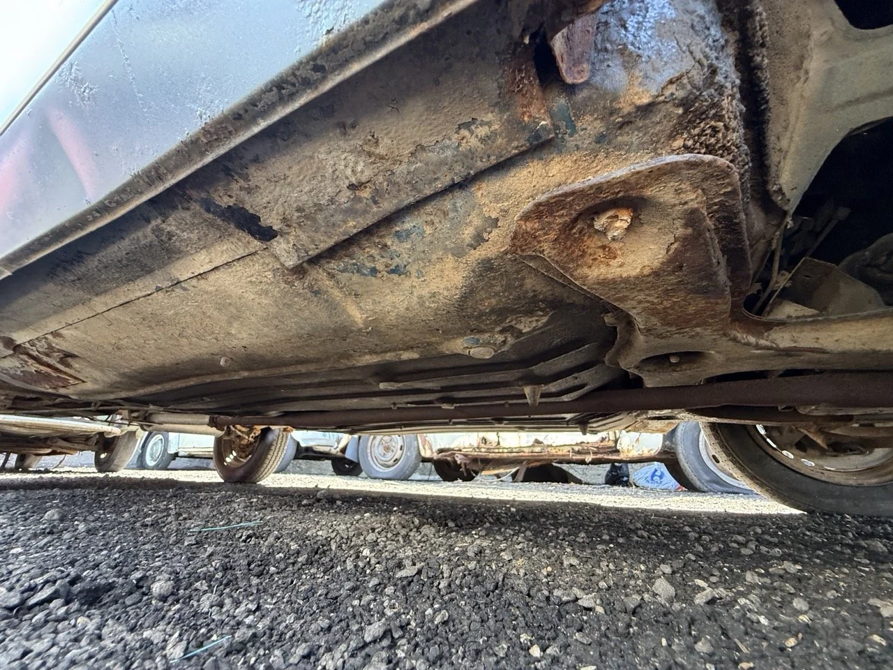 IMG_0815 – grande.jpeg