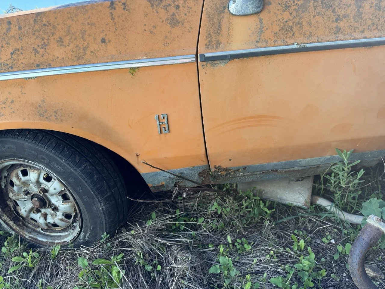 IMG_7692 – grande.jpeg