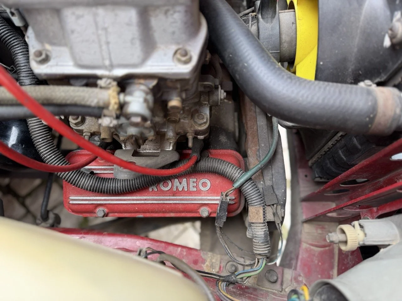 IMG_3475 – grande.jpeg