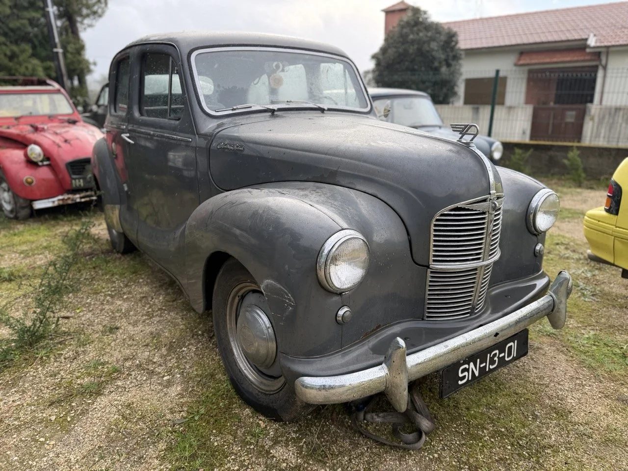 IMG_5622 – grande.jpeg