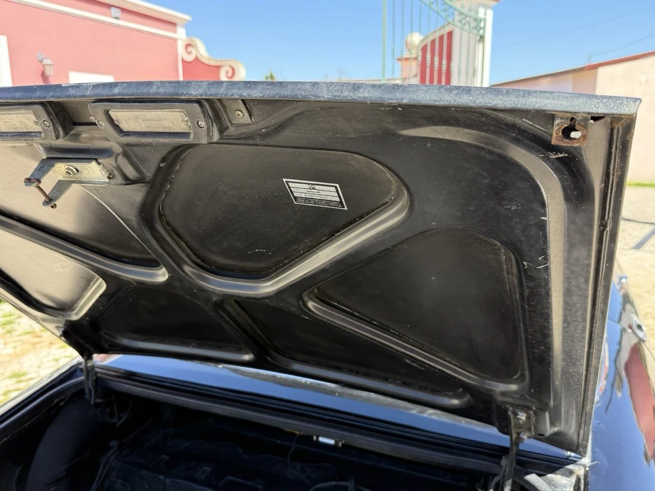 IMG_2217 – grande.jpeg