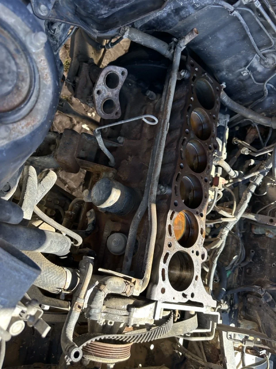 IMG_3085 – grande.jpeg